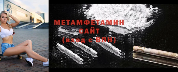 прущие грибы Ахтубинск