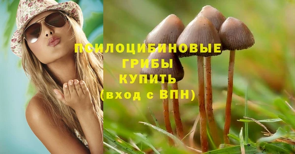 PSILOCYBIN Бугульма
