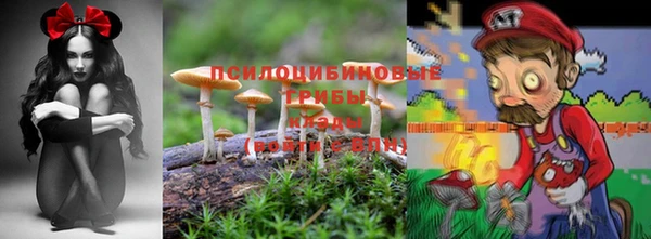 МДМА Бородино