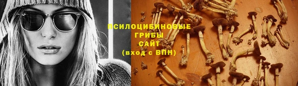 PSILOCYBIN Бугульма