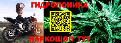 молекула духа Ливны