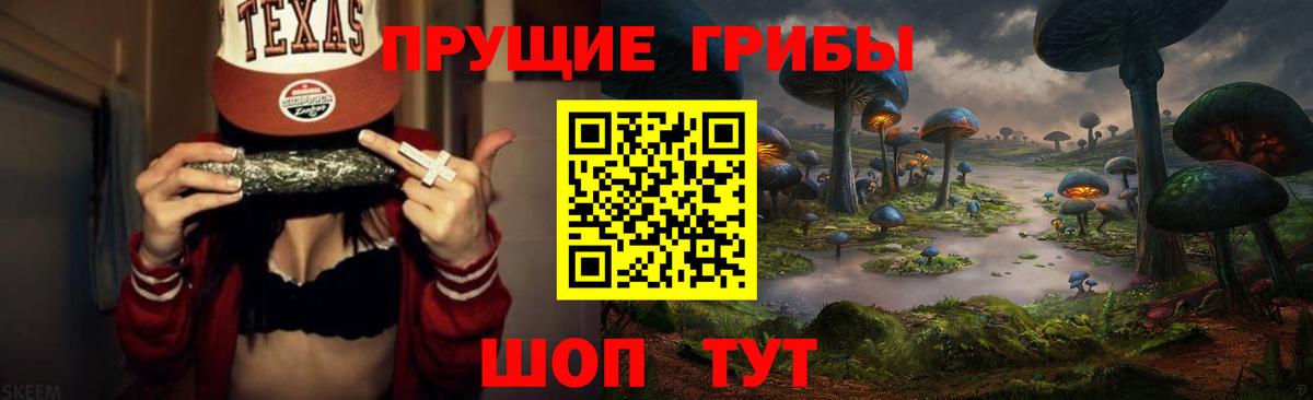 Гай  Псилоцибиновые грибы мицелий  Вход с VPN 