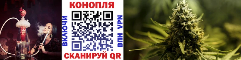 купить сайты Гай Бошки Шишки AK-47